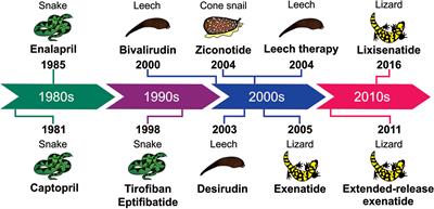 Frontiers | From Animal Poisons and Venoms to Medicines: Achievements